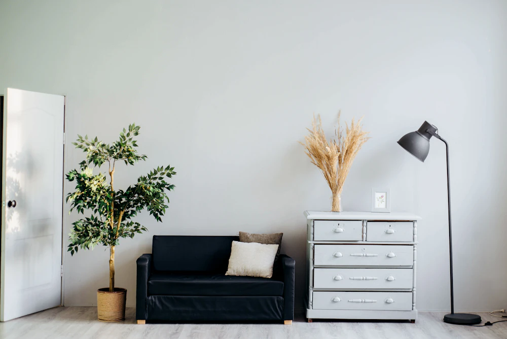 A peaceful, sunlit room with natural light and plants offering a quiet space to breathe